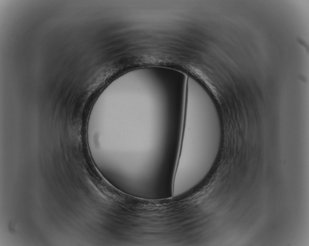 X0000091920443200709051234