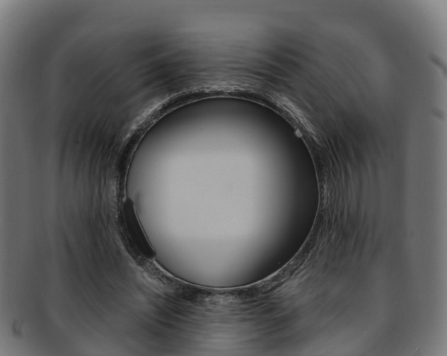 X0000091920444200709051234