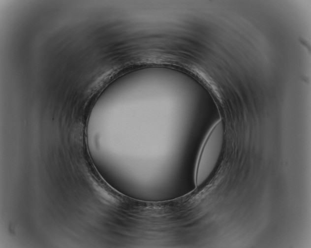 X0000091920445200709051234