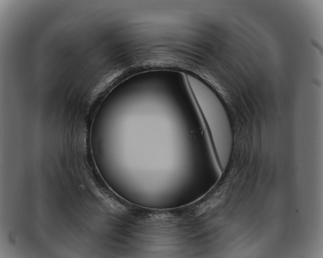 X0000091920446200709051234