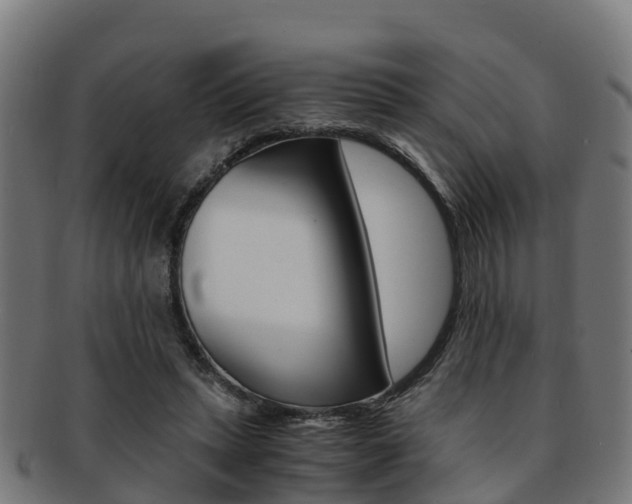 X0000091920447200709051234