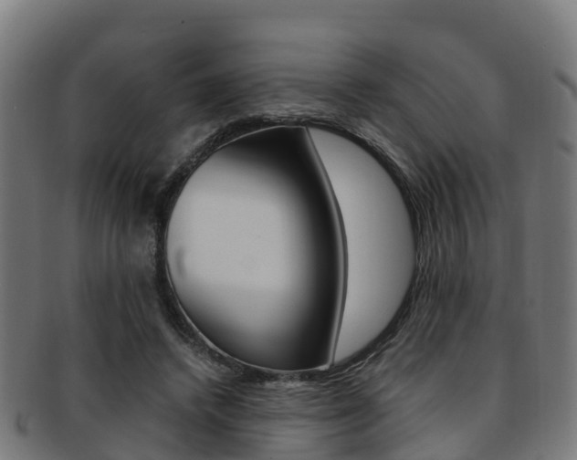 X0000091920448200709051234