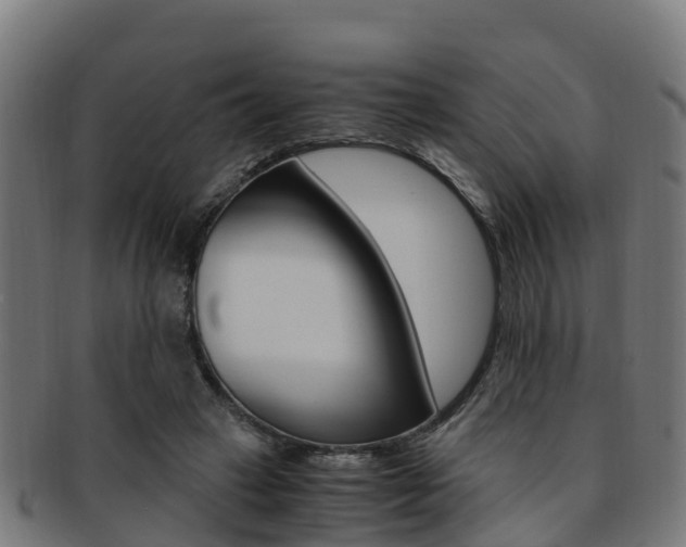 X0000091920449200709051234