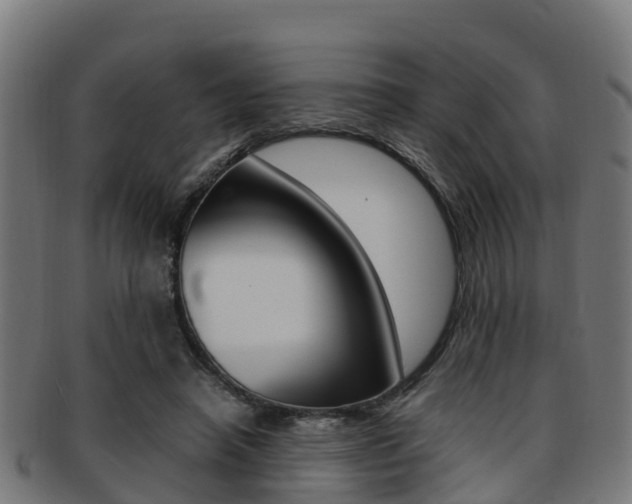 X0000091920450200709051234
