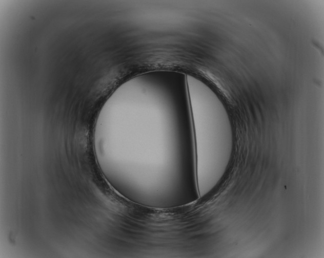 X0000091920451200709051234