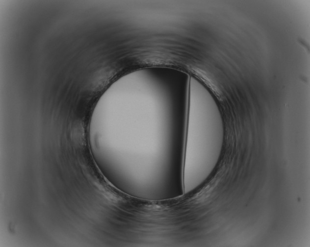 X0000091920453200709051234