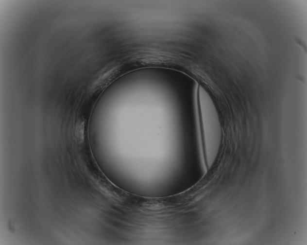 X0000091920454200709051234