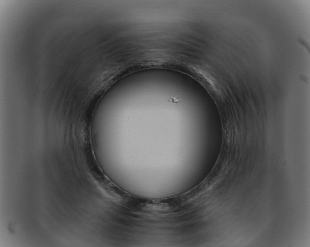 X0000091920455200709051234