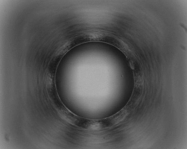 X0000091920456200709051234