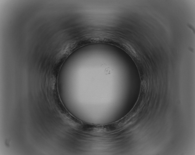 X0000091920458200709051234