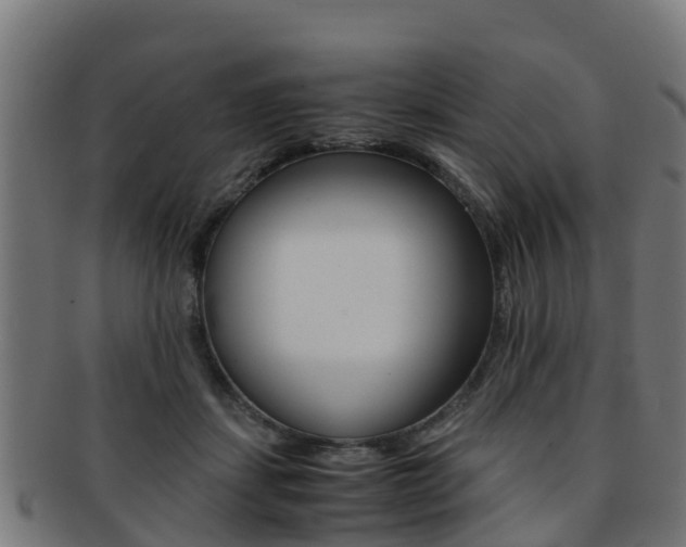 X0000091920459200709051234