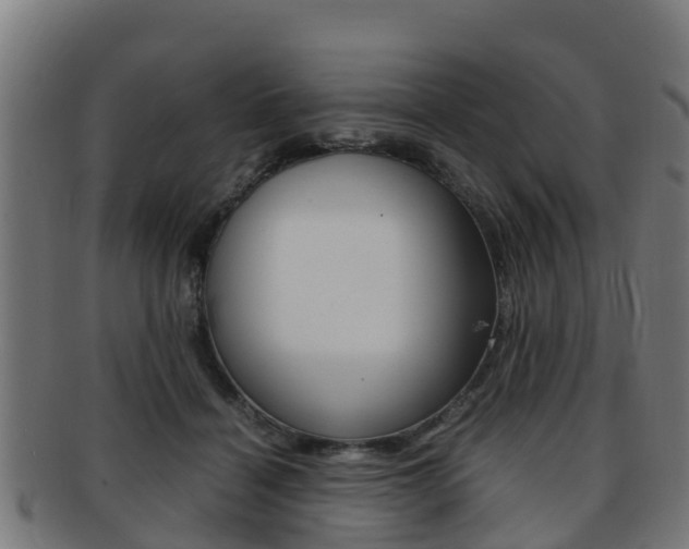 X0000091920460200709051234