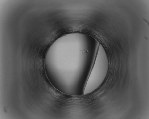 X0000091920462200709051234