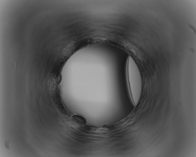 X0000091920463200709051234