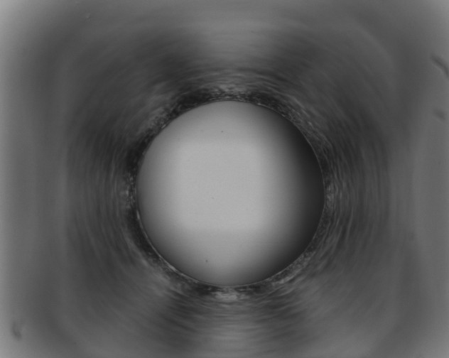 X0000091920464200709051234