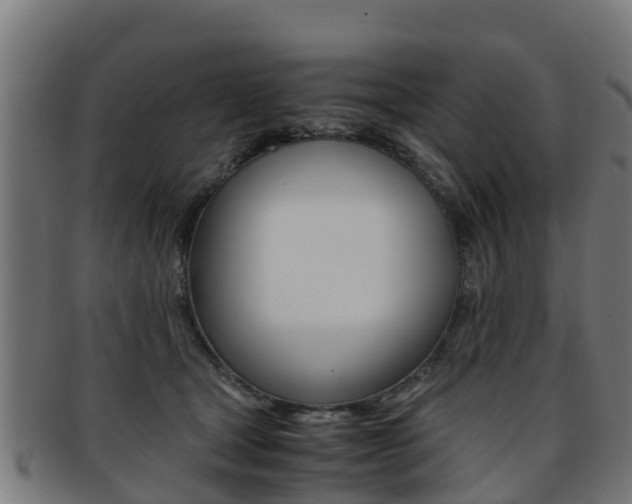 X0000091920465200709051234