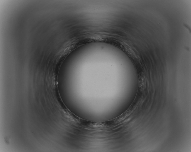 X0000091920466200709051234
