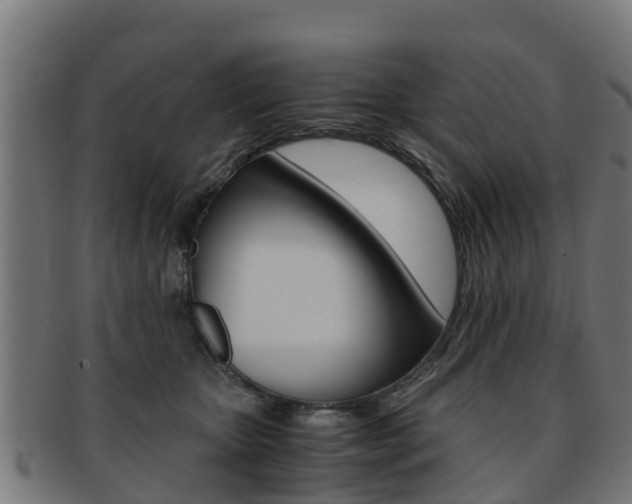 X0000091920467200709051234