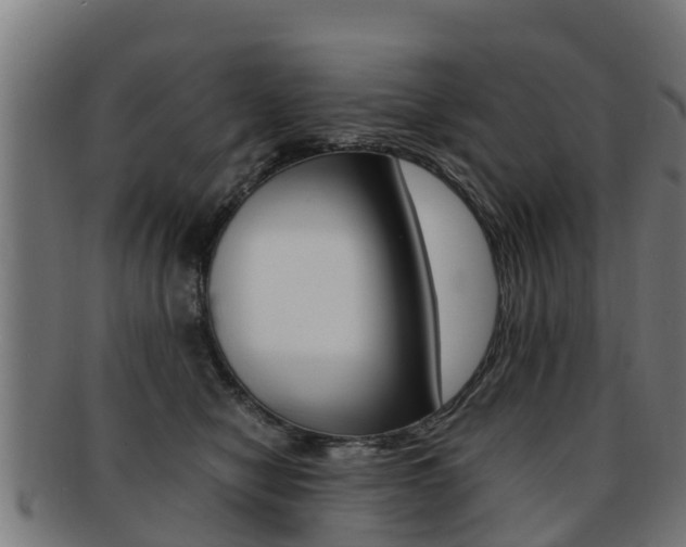 X0000091920470200709051234