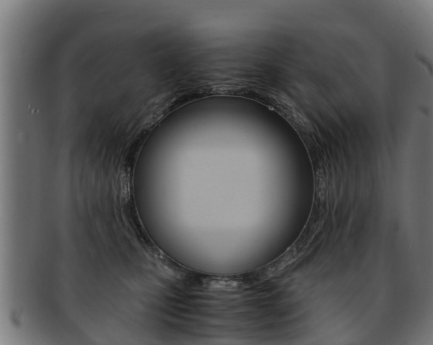 X0000091920471200709051234