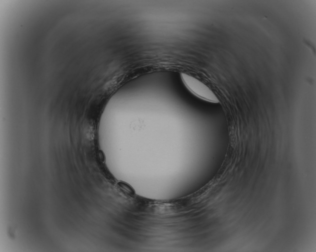 X0000091920472200709051234