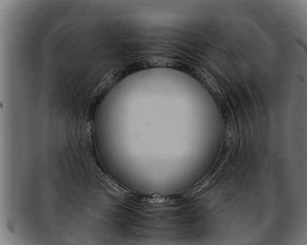 X0000091920473200709051234