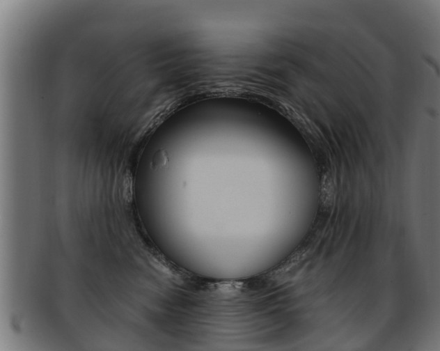 X0000091920474200709051234