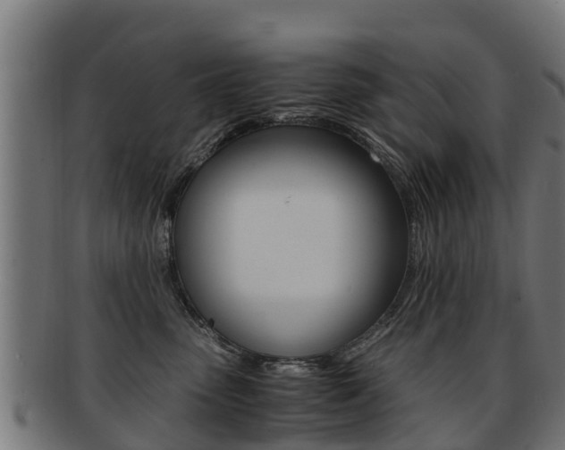 X0000091920475200709051234