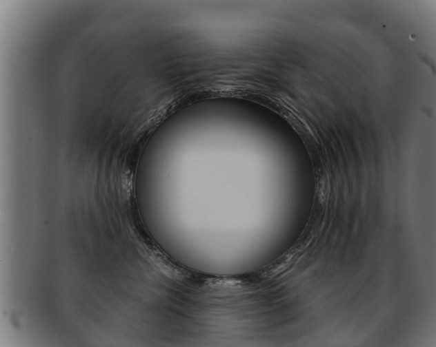 X0000091920476200709051234
