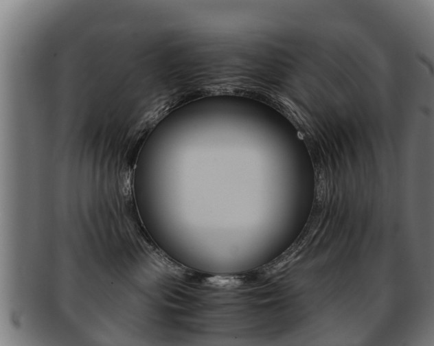 X0000091920477200709051234