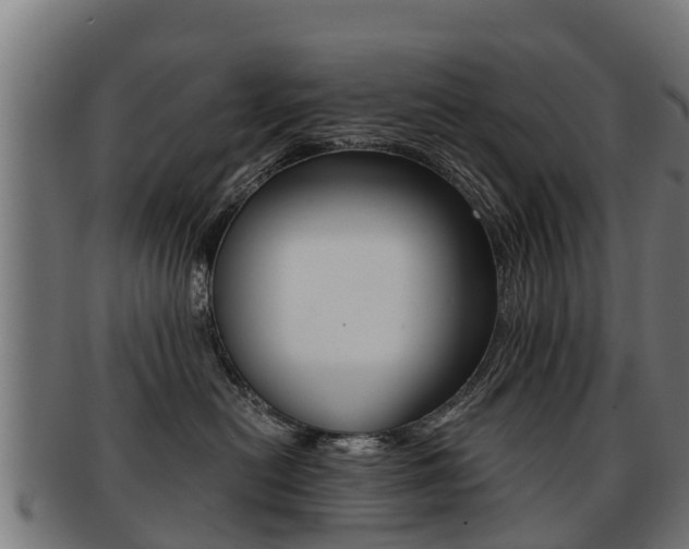 X0000091920478200709051234