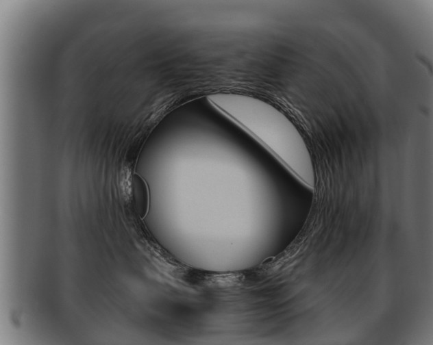 X0000091920479200709051234