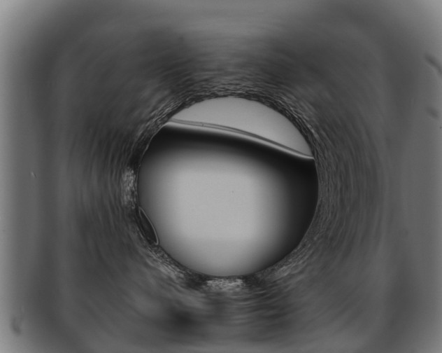 X0000091920480200709051234