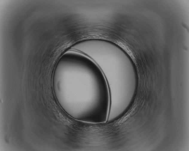 X0000091920481200709051234