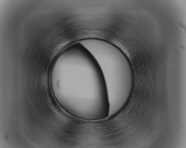 X0000091920482200709051234