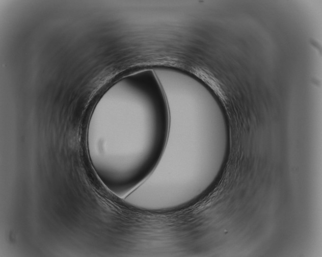 X0000091920483200709051234