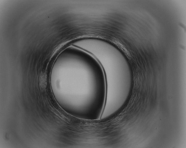 X0000091920484200709051234