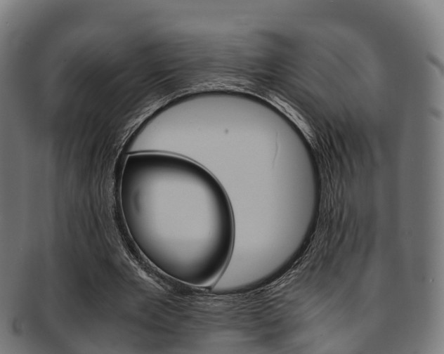 X0000091920485200709051234