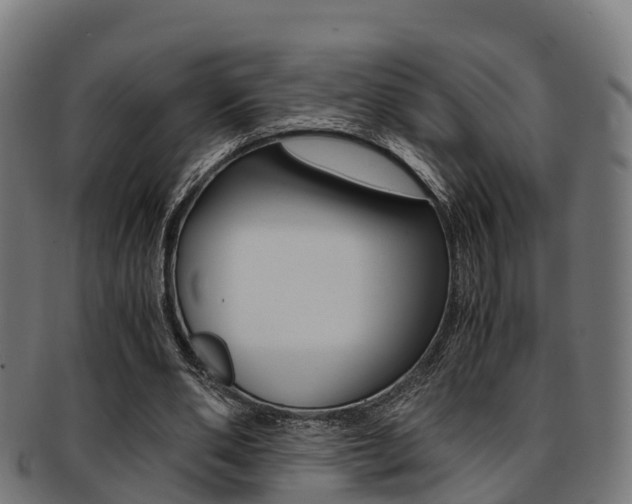 X0000091920486200709051234