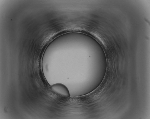 X0000091920487200709051234