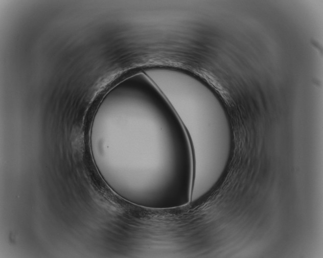 X0000091920488200709051234