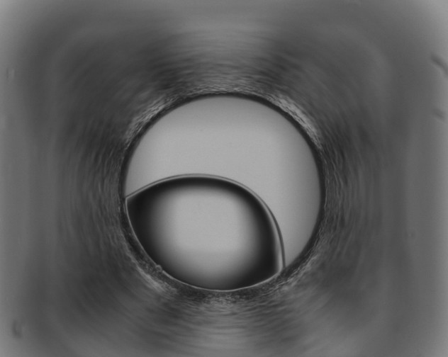 X0000091920489200709051234