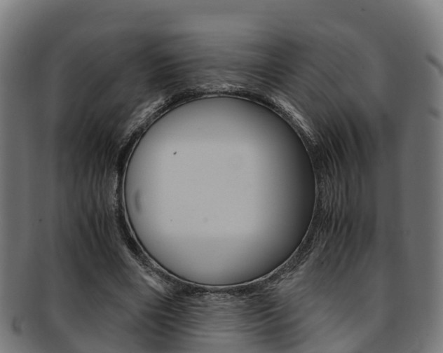 X0000091920490200709051234