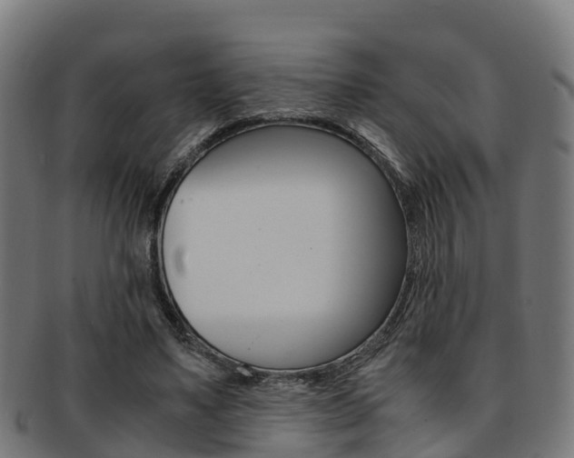 X0000091920491200709051234
