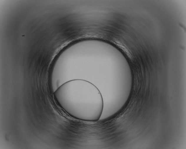X0000091920492200709051234