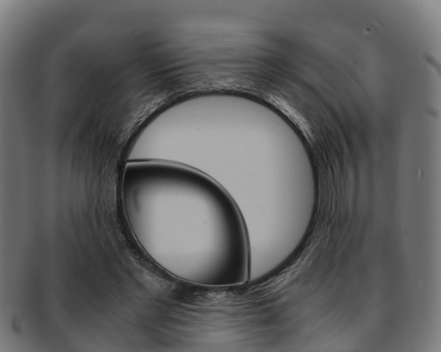 X0000091920493200709051234