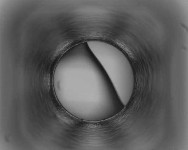 X0000091920494200709051234