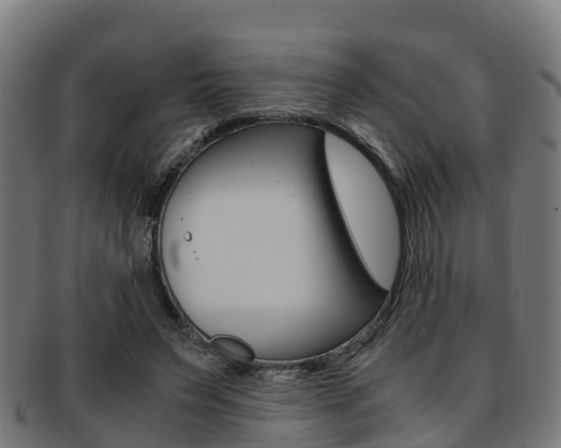 X0000091920495200709051234