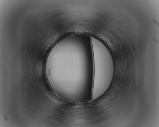X0000091920496200709051234