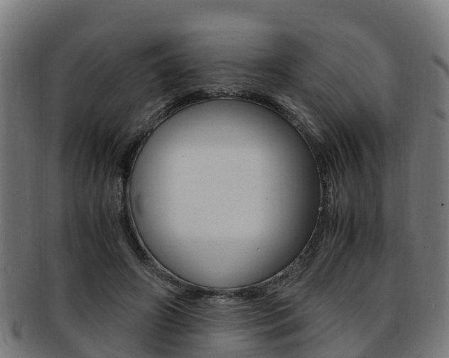 X0000091920498200709051234